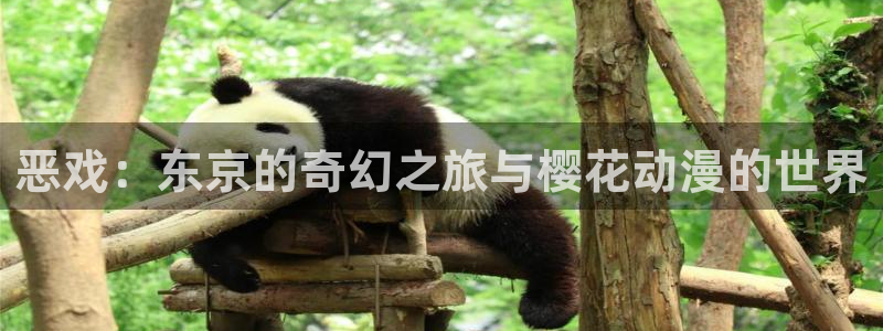 囧次元a：恶戏：东京的奇幻之旅与樱花动漫的世界