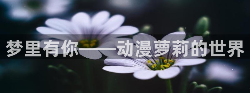 囧次元官方网页版：梦里有你——动漫萝莉的世界