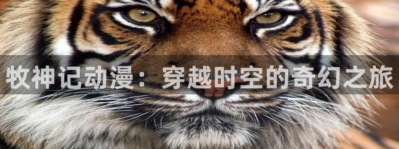 囧次元官方下载：牧神记动漫：穿越时空的奇幻之旅