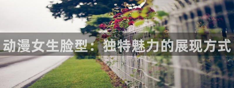免费下载囧次元app：动漫女生脸型：独特魅力的展现方式