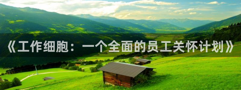 囧次元app官网入口下载：《工作细胞：一个全面的员工关怀计划》