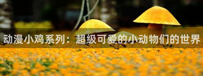 囧次元是什么：动漫小鸡系列：超级可爱的小动物们的世界
