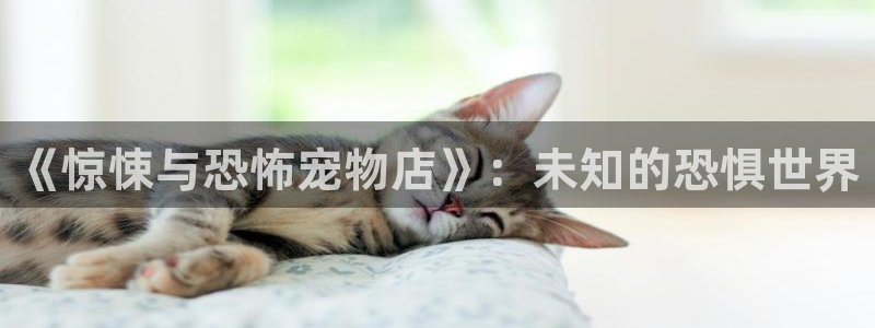囧次元官方网站：《惊悚与恐怖宠物店》：未知的恐惧世界