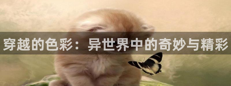 囧次元新版本下载：穿越的色彩：异世界中的奇妙与精彩