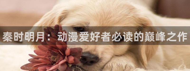 囧次元官方网站入口官网在线观看：秦时明月：动漫爱好者必读的巅峰之作