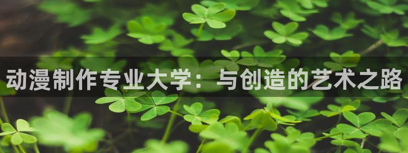 囧次元官方正版网站：动漫制作专业大学：与创造的艺术之路