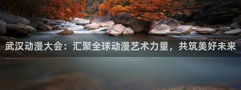 囧次元在线：武汉动漫大会：汇聚全球动漫艺术力量，共筑美好未来