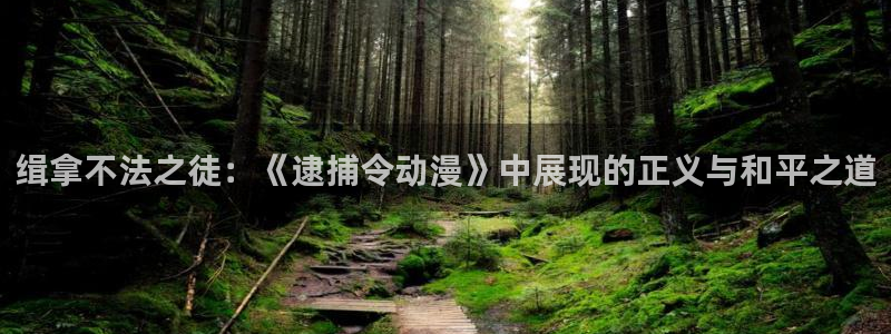 囧次元最新版下载：缉拿不法之徒：《逮捕令动漫》中展现的正义与和平之道