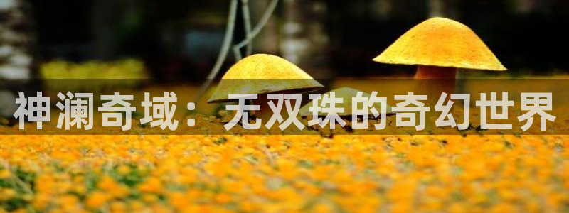 囧次元在线：神澜奇域：无双珠的奇幻世界