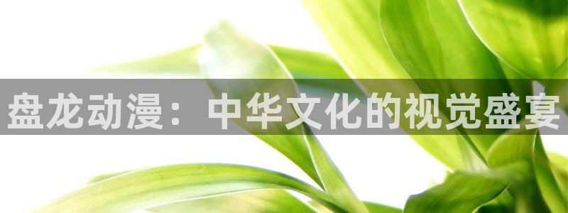 囧次元官方最新版：盘龙动漫：中华文化的视觉盛宴