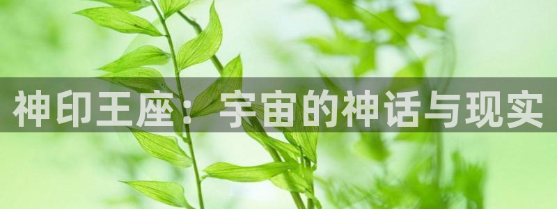 囧次元官方正版下载：神印王座：宇宙的神话与现实