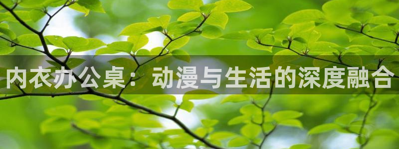 囧次元app官方下载：内衣办公桌：动漫与生活的深度融合