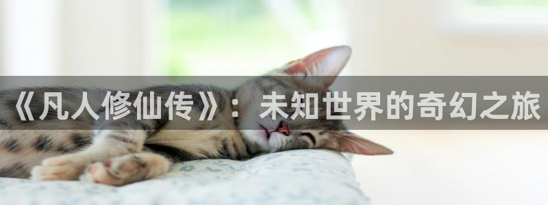 囧次元官方网：《凡人修仙传》：未知世界的奇幻之旅