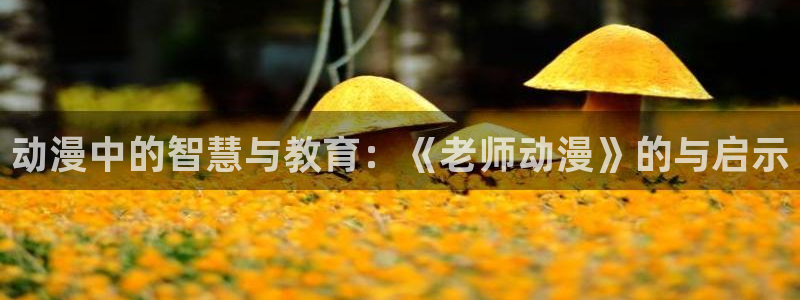 囧次元免费版：动漫中的智慧与教育：《老师动漫》的与启示