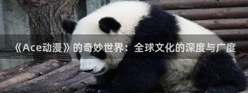 囧次元app下载动漫：《Ace动漫》的奇妙世界：全球文化的深度与广度