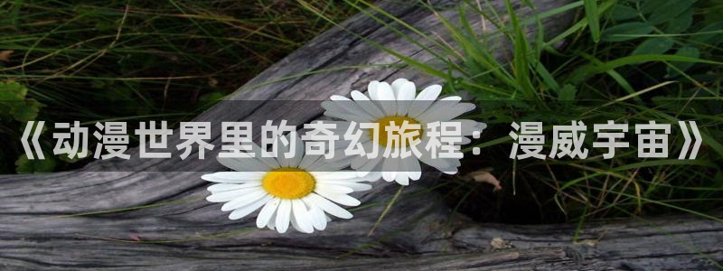 囧次元动漫官网下载入口：《动漫世界里的奇幻旅程：漫威宇宙》