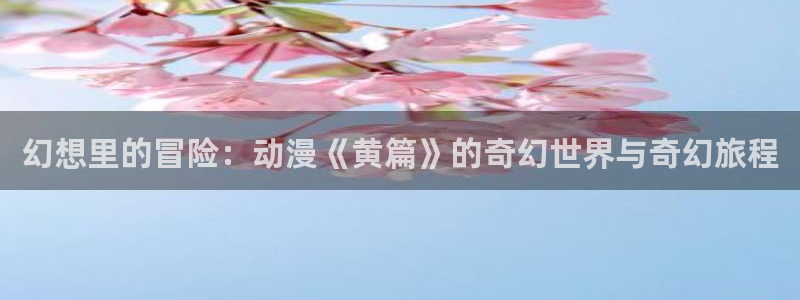 囧次元官方网站入口官网在线观看：幻想里的冒险：动漫《黄篇》的奇幻世界与奇幻旅程