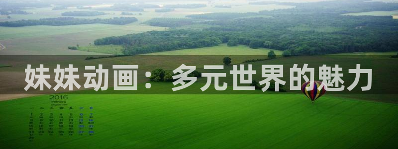 囧次元网页：妹妹动画：多元世界的魅力