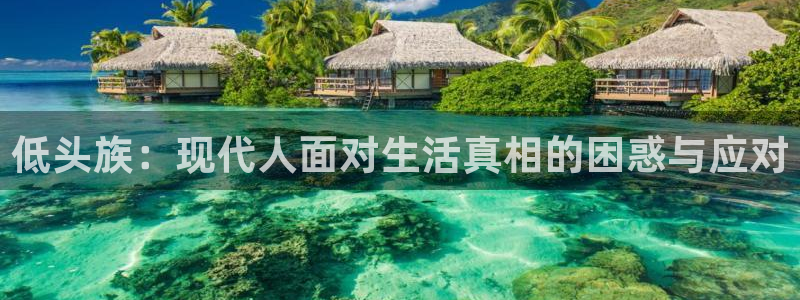 囧次元官网网址最新：低头族：现代人面对生活真相的困惑与应对