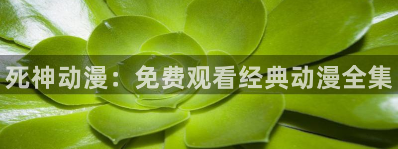 囧次元官方网站：死神动漫：免费观看经典动漫全集