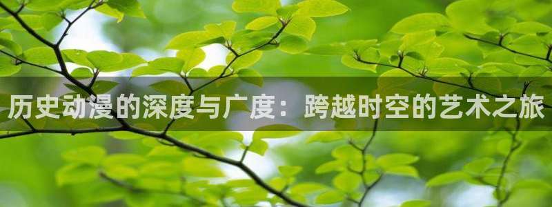 囧次元ios：历史动漫的深度与广度：跨越时空的艺术之旅