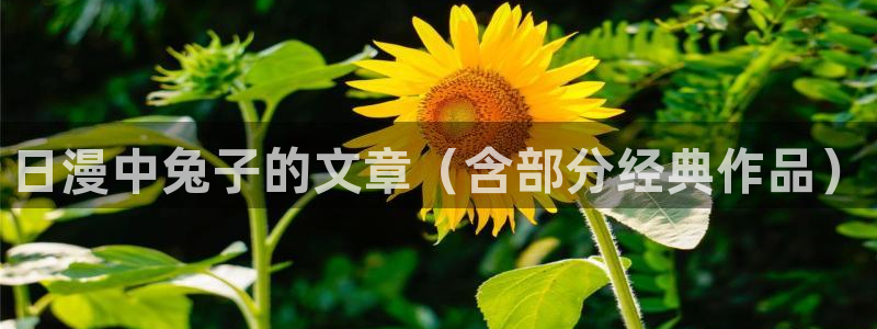 囧次元下载正版官网：日漫中兔子的文章（含部分经典作品）