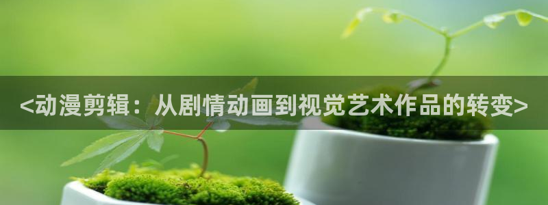 囧次元官方下载：<动漫剪辑：从剧情动画到视觉艺术作品的转变>