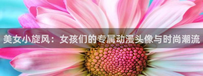 囧次元看动漫：美女小旋风：女孩们的专属动漫头像与时尚潮流