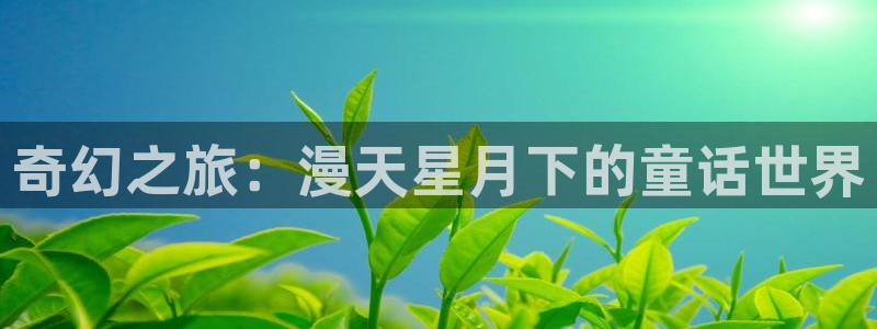 囧次元最新版下载：奇幻之旅：漫天星月下的童话世界
