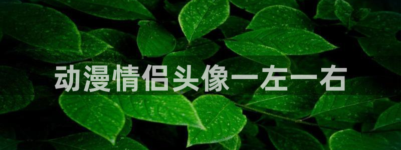 囧次元app官方：动漫情侣头像一左一右