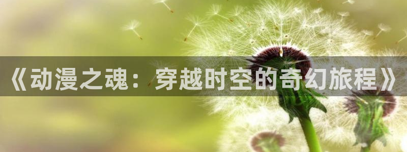 囧次元官网网址最新：《动漫之魂：穿越时空的奇幻旅程》