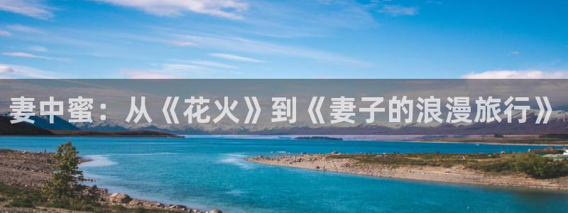囧次元官方正版下载：妻中蜜：从《花火》到《妻子的浪漫旅行》